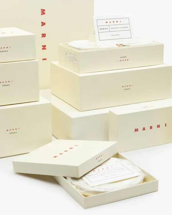 Plate L Anemone Milk Midnight Flowers