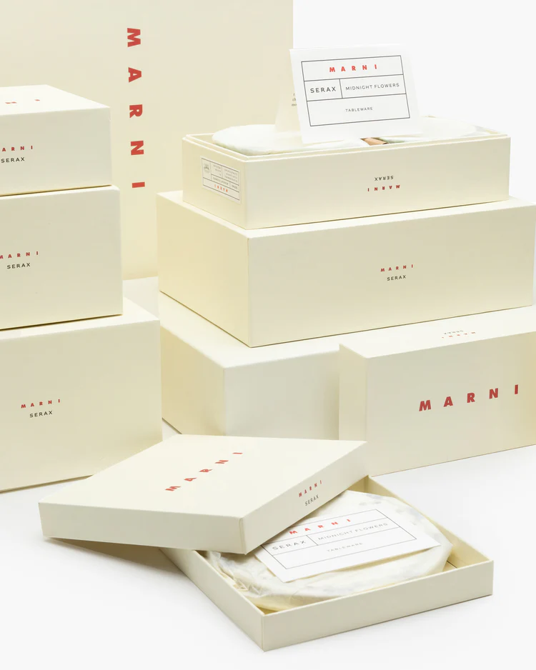 Plate L Anemone Milk Midnight Flowers – Image 2