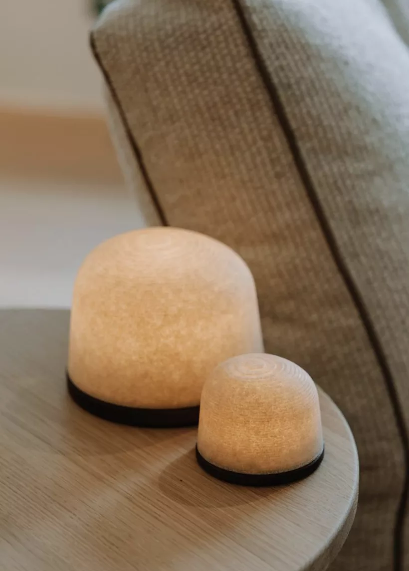 Fondant Petit Plateau + Petite Lumineuse Frêne Thermo – Image 1