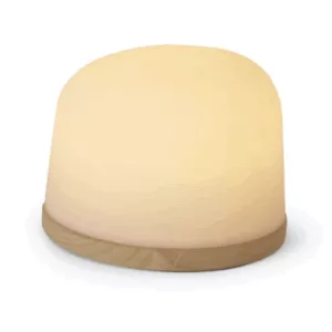 Fondant Grande Lumineuse – Image 5