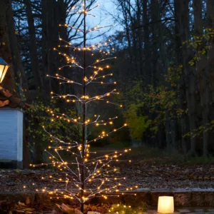 Sapin Isaac – Image 1