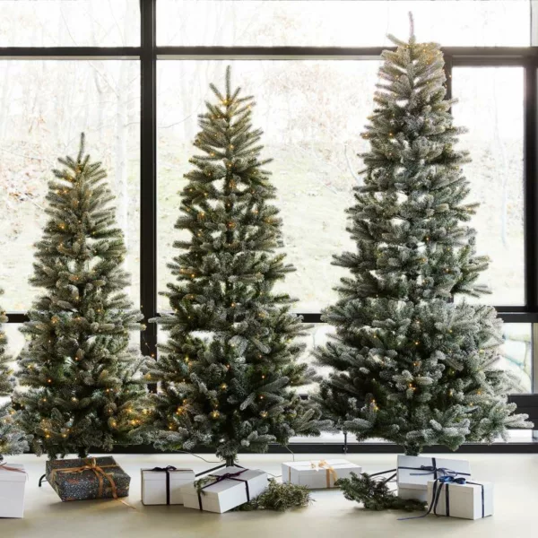 61651-2-1.jpg Sapin Elias