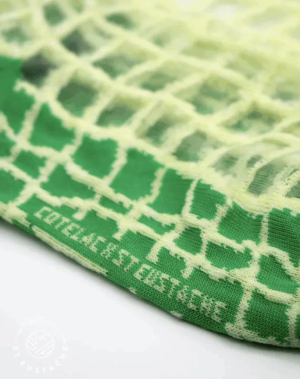 Carreaux (Cotelac x St Eustache)