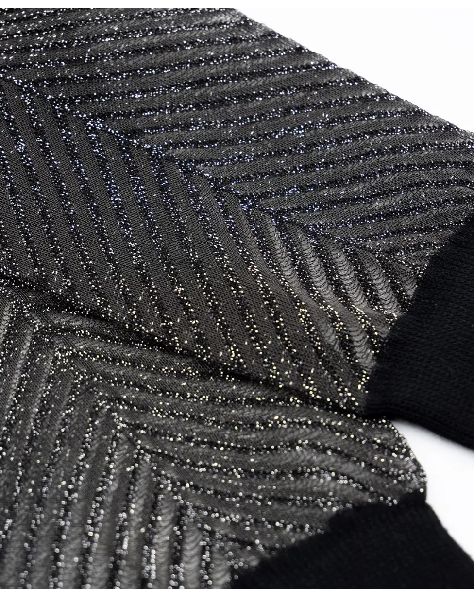 Sapin Argenté – Image 2