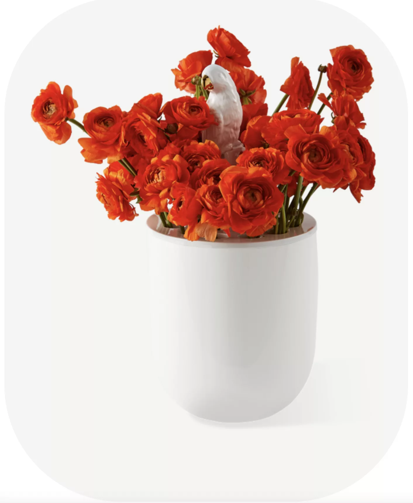 Vase Bird Watching – Image 2