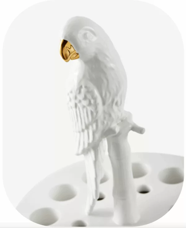 Vase Bird Watching