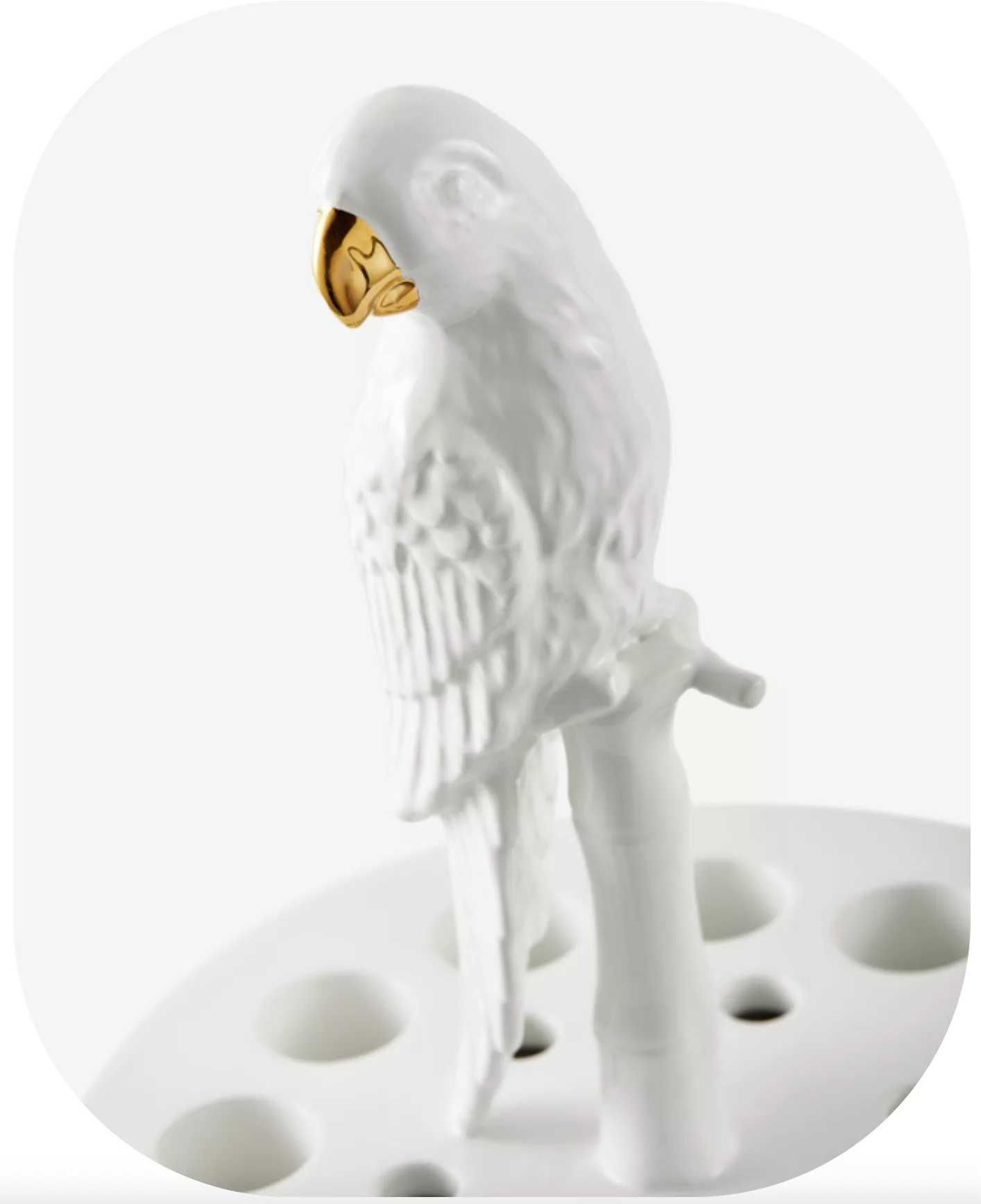 Vase Bird Watching – Image 3