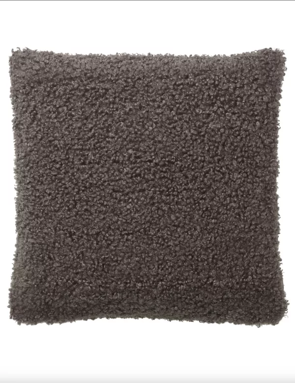 capture-d-ecran-2026-01-17-a-14-47-11-2.png Coussin Teddy