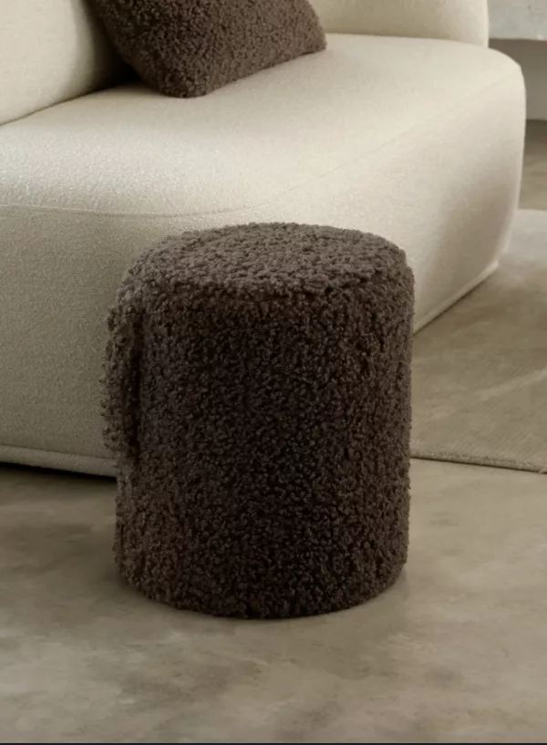 capture-d-ecran-2026-08-29-a-13-07-53.png Pouf Teddy