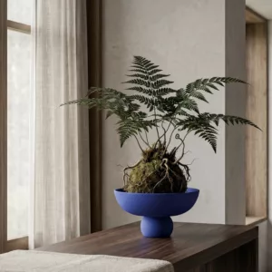 Baburu Bowl – Image 3