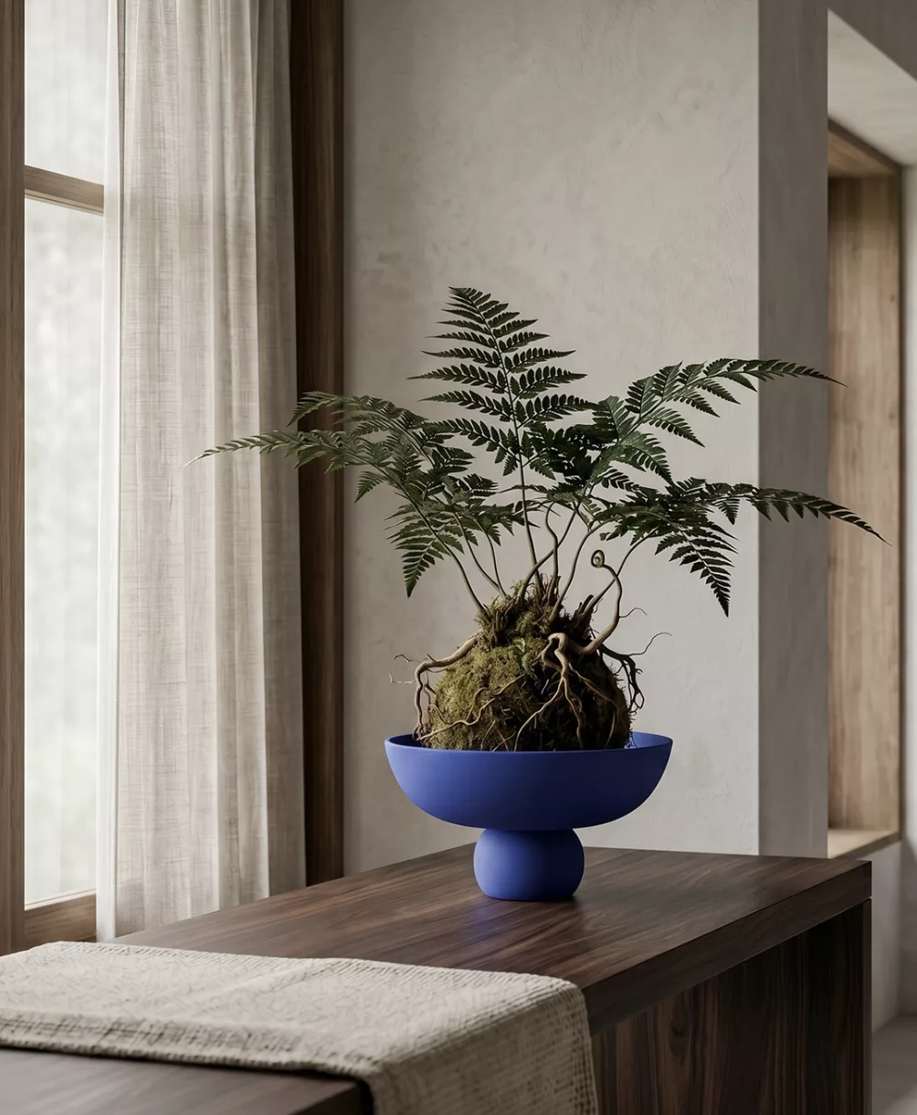 Baburu Bowl – Image 3