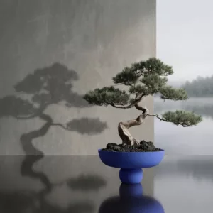 Baburu Bowl – Image 2