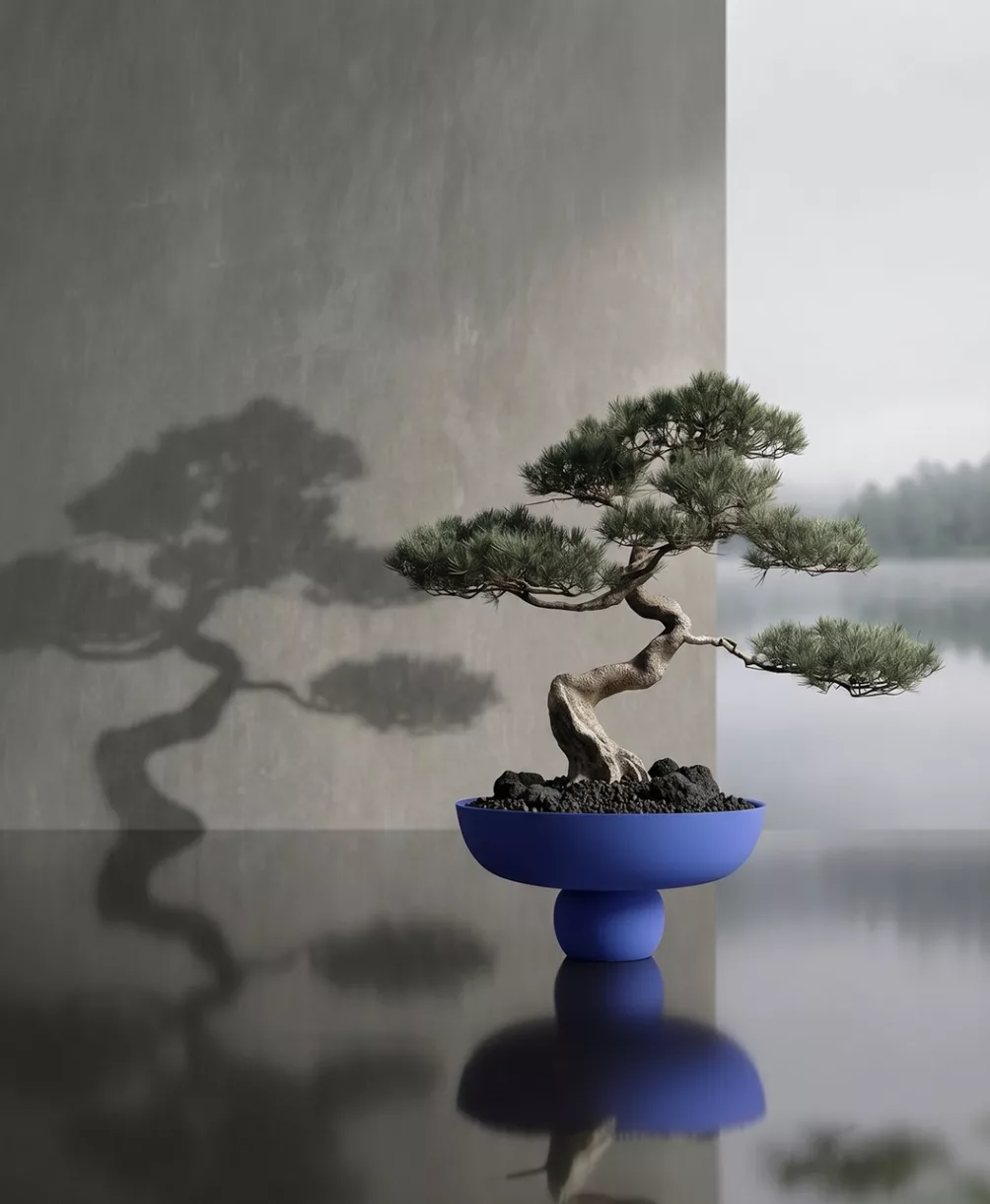 Baburu Bowl – Image 2